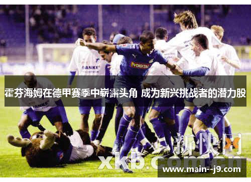 霍芬海姆在德甲赛季中崭露头角 成为新兴挑战者的潜力股